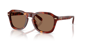 แว่นกันแดด Coach HC8467U-593873 ลายกระโทนน้ำตาลวอลนัท เลนส์น้ำตาลสด