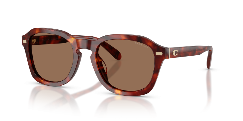 แว่นกันแดด Coach HC8467U-593873 Walnut Tortoise Brown Solid แว่นกันแดด Coach HC8467U-593873 ลายกระโทนน้ำตาลวอลนัท เลนส์น้ำตาลสด
