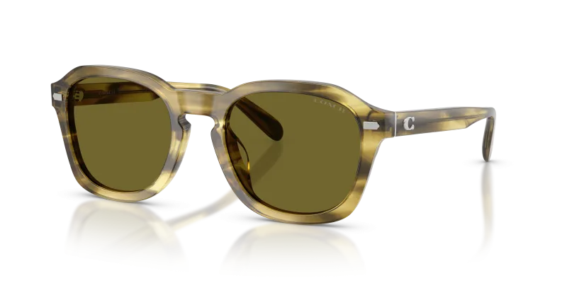 แว่นกันแดด Coach HC8467U-5945/2 ลายเส้นโทนเขียวมะกอก เลนส์มะกอกสด
