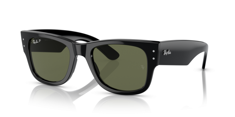 Rayban RB0840SF 901/58 แว่นกันแดดสีดำเลนส์เขียวโพลาไรซ์ สำหรับทุกเพศ