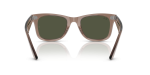 แว่นกันแดด Rayban Wayfarer RB2140F-682731 Transparent Light Brown Crystal Green แว่นกันแดด Rayban RB2140F-682731 ขาแว่นด้านใน