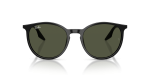 แว่นกันแดด Rayban RB2204-901/31 Black Dark Green Rayban RB2204-901/31 ด้านหน้า