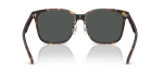 แว่นกันแดด Rayban RB2206D-710/87 Havana Dark Grey Rayban RB2206D 710/87 ขาแว่นด้านใน