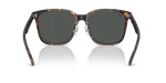 Rayban RB2206D 710/87 ขาแว่นด้านใน