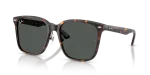 Rayban RB2206D 710/87 แว่นกันแดดฮาวานา เลนส์เทาเข้ม ทั้งสองเพศ