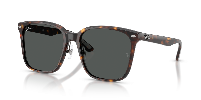 แว่นกันแดด Rayban RB2206D-710/87 Havana Dark Grey Rayban RB2206D 710/87 แว่นกันแดดฮาวานา เลนส์เทาเข้ม ทั้งสองเพศ