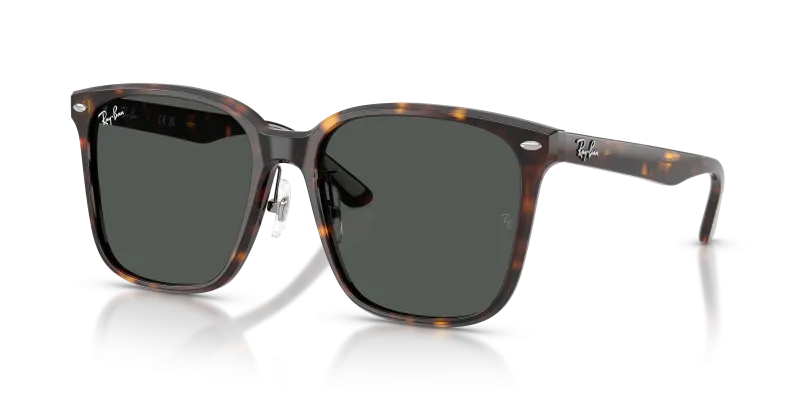 Rayban RB2206D 710/87 แว่นกันแดดฮาวานา เลนส์เทาเข้ม ทั้งสองเพศ