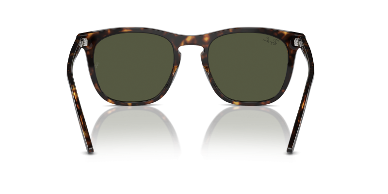 Rayban RB2210F 902/31 ขาแว่นด้านใน