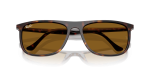 แว่นกันแดด Rayban RB2216F-902/33 Havana Brown Rayban RB2216F 902/33 close-up ด้านหน้า