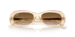 แว่นกันแดด Rayban RB2221F-690251 Transparent Nude Gradient Brown Rayban RB2221F 690251 close-up ด้านหน้า