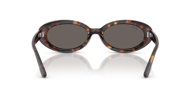 Rayban RB2223F 902/B1 ขาแว่นด้านใน