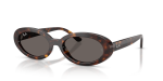 Rayban RB2223F 902/B1 แว่นกันแดดฮาวานาเลนส์เทาเข้ม สำหรับผู้หญิง