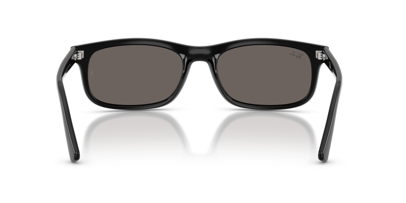 Rayban RB2224F-601/B1 ขาแว่นด้านใน
