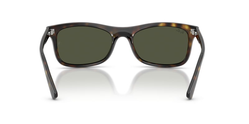 Rayban RB2226F 710/31 ขาแว่นด้านใน