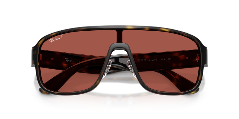 แว่นกันแดด Rayban RB2229-710/1B close-up ด้านหน้า