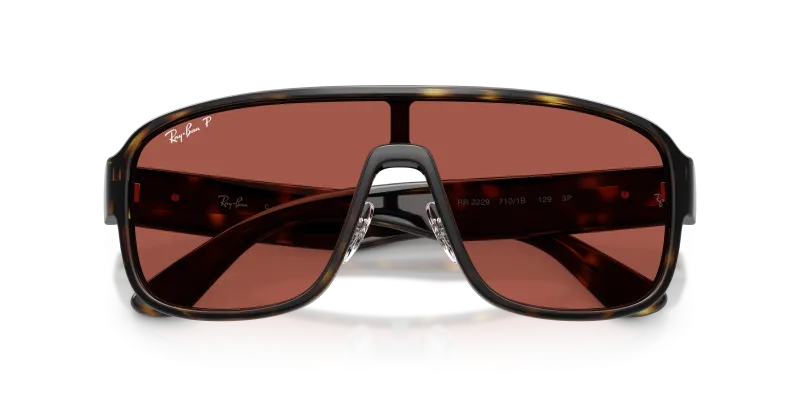 แว่นกันแดด Rayban RB2229-710/1B close-up ด้านหน้า
