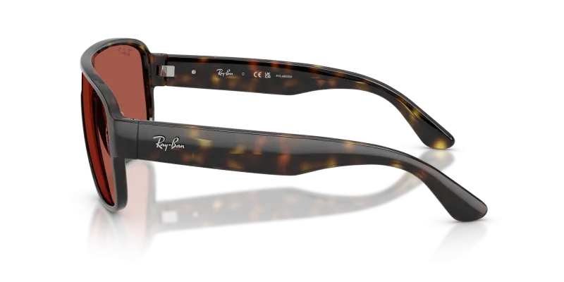 แว่นกันแดด Rayban RB2229-710/1B มุมข้าง ขาแว่นสีฮาวานา