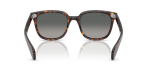 Rayban Brunel II RB2235F 902/71 ขาแว่นด้านใน