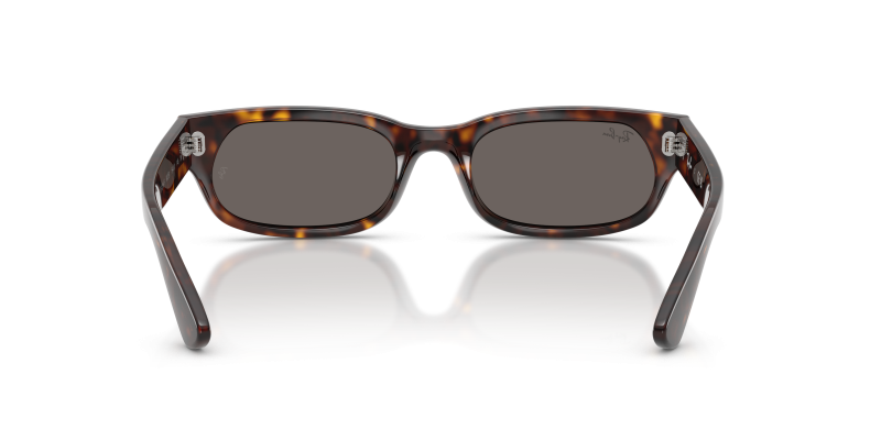 Rayban RB2236F-902/B1 902/B1 ขาแว่นด้านใน