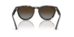 แว่นกันแดด Rayban RB2237-710/T5 Havana Polar Light Grey Brown Gradient แว่นกันแดด Rayban RB2237-710/T5 ขาแว่นด้านใน