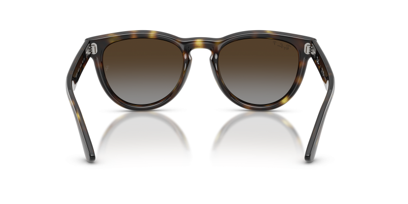 แว่นกันแดด Rayban RB2237-710/T5 ขาแว่นด้านใน