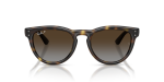 แว่นกันแดด Rayban RB2237-710/T5 Havana Polar Light Grey Brown Gradient แว่นกันแดด Rayban RB2237-710/T5 ด้านหน้า