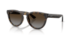 แว่นกันแดด Rayban RB2237-710/T5 Havana Polar Light Grey Brown Gradient แว่นกันแดด Rayban RB2237-710/T5 มุมเฉียง สีฮาวานา สำหรับทุกเพศ