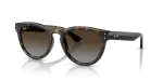 แว่นกันแดด Rayban RB2237-710/T5 Havana Polar Light Grey Brown Gradient แว่นกันแดด Rayban RB2237-710/T5 มุมเฉียง สีฮาวานา สำหรับทุกเพศ