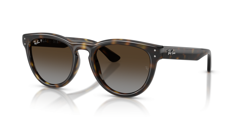 แว่นกันแดด Rayban RB2237-710/T5 Havana Polar Light Grey Brown Gradient แว่นกันแดด Rayban RB2237-710/T5 มุมเฉียง สีฮาวานา สำหรับทุกเพศ
