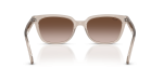Rayban RB2243D 682713 ขาแว่นด้านใน