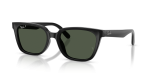 Rayban RB2243D 901/9A แว่นกันแดดเลนส์โพลาไรซ์เขียวเข้ม สำหรับทุกเพศ