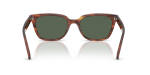 แว่นกันแดด Rayban RB2243D-954/71 Striped Havana Dark Green Rayban RB2243D-954/71 954/71 ขาแว่นด้านใน