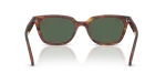 Rayban RB2243D-954/71 954/71 ขาแว่นด้านใน