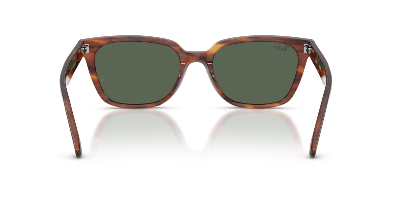 Rayban RB2243D-954/71 954/71 ขาแว่นด้านใน