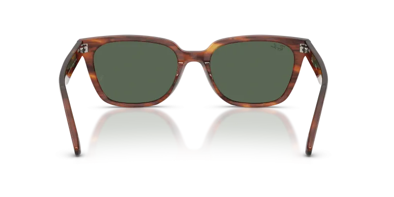 Rayban RB2243D-954/71 954/71 ขาแว่นด้านใน