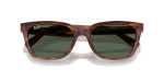 แว่นกันแดด Rayban RB2243D-954/71 Striped Havana Dark Green Rayban RB2243D-954/71 954/71 close-up ด้านหน้า