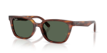 แว่นกันแดด Rayban RB2243D-954/71 Striped Havana Dark Green Rayban RB2243D-954/71 954/71 แว่นกันแดดแถบฮาวานา Low Bridge Fit ทั้งสองเพศ