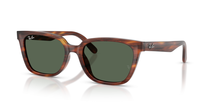 แว่นกันแดด Rayban RB2243D-954/71 Striped Havana Dark Green Rayban RB2243D-954/71 954/71 แว่นกันแดดแถบฮาวานา Low Bridge Fit ทั้งสองเพศ