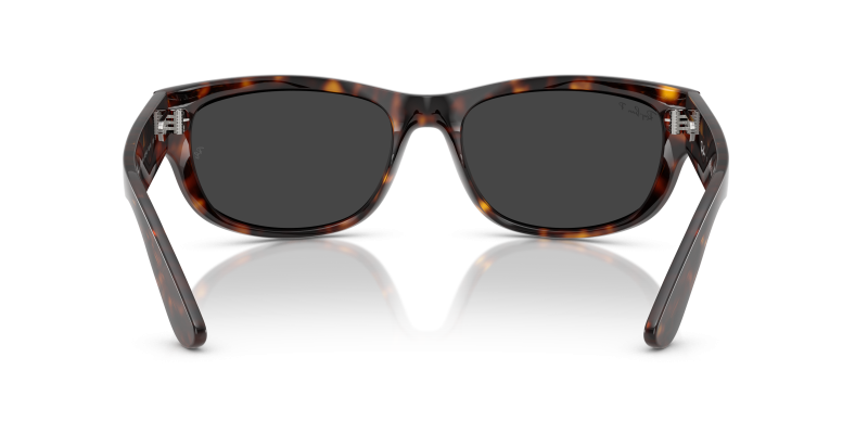Rayban RB2289 902/48 ขาแว่นด้านใน