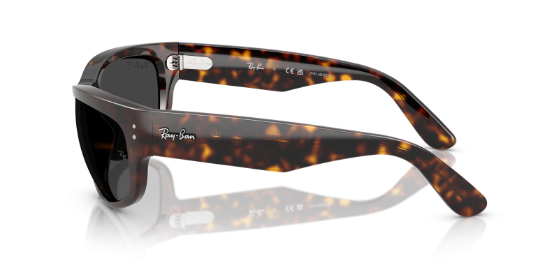 แว่นกันแดด Rayban RB2289 902/48 มุมข้าง ขาแว่นลายฮาวานาเข้าชุดกรอบ