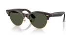 Rayban RB2341 990/31 แว่นกันแดดสีฮาวานาแดงพื้นทอง-เขียว ทั้งสองเพศ