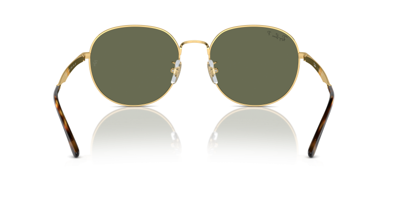 Rayban RB3727D-001/9A ขาแว่นด้านใน