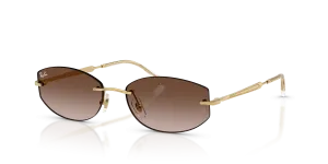 Rayban RB3792 001/13 แว่นกันแดดโทนน้ำตาล ทุกเพศ