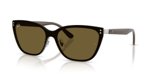 Rayban RB3798D 928873 แว่นกันแดดสีเงินเลนส์น้ำตาลเข้ม ทั้งสองเพศ
