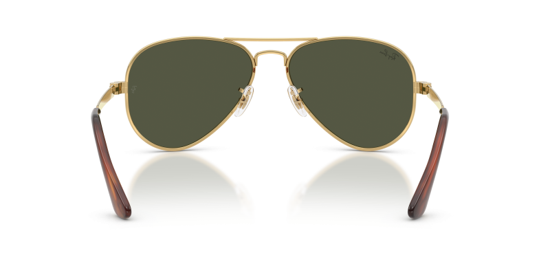 Rayban RB3925 001/31 ขาแว่นด้านใน