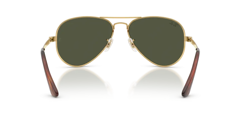 Rayban RB3925 001/31 ขาแว่นด้านใน