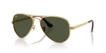 Rayban RB3925 001/31 แว่นกันแดดอะริสต้า-เขียว สำหรับทุกเพศ