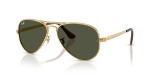 Rayban RB3925 001/31 แว่นกันแดดอะริสต้า-เขียว สำหรับทุกเพศ