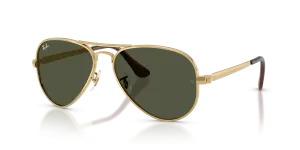 Rayban RB3925 001/31 แว่นกันแดดอะริสต้า-เขียว สำหรับทุกเพศ