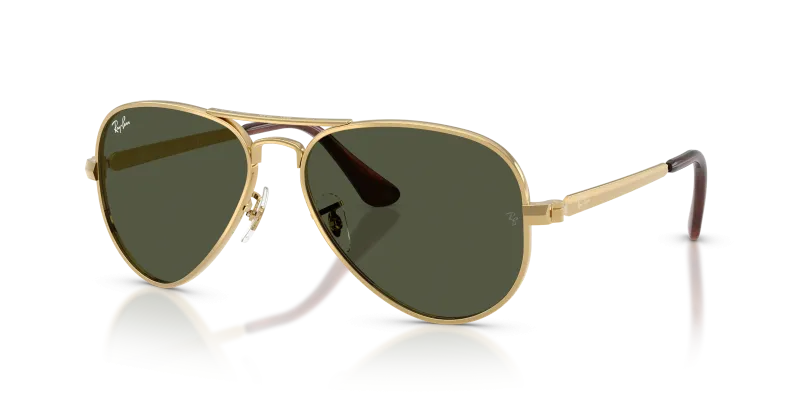 Rayban RB3925 001/31 แว่นกันแดดอะริสต้า-เขียว สำหรับทุกเพศ